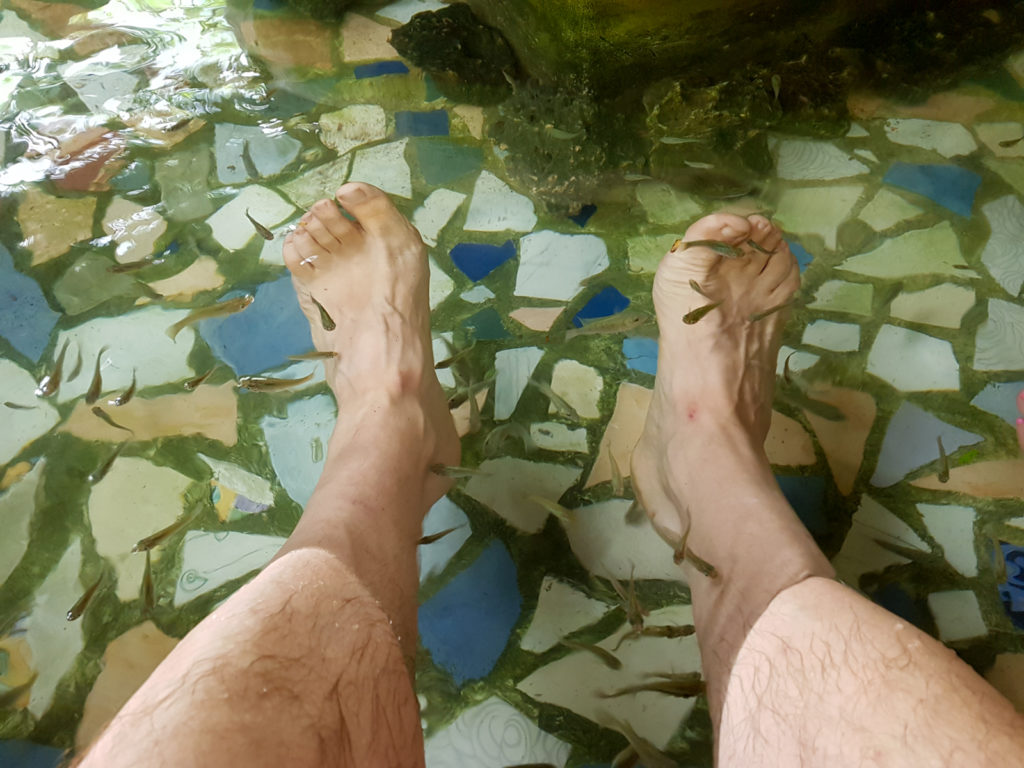 Bantayan Island Nature Park -Fish spa