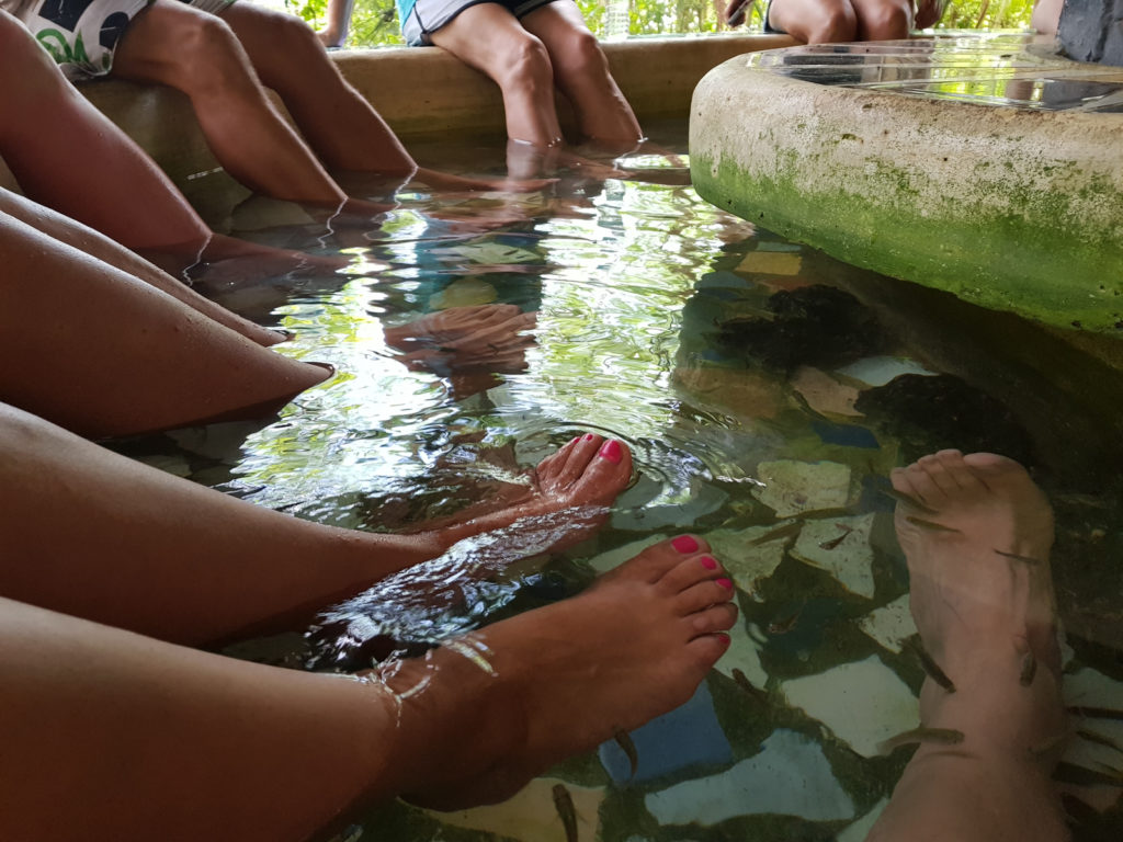 Bantayan Island Nature Park -Fish spa